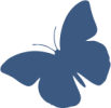 Butterfly Butterfly